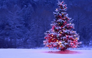 Arbre de Noël