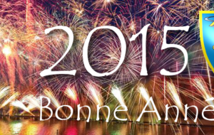 Meilleurs voeux pour l'année 2015 !