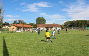 541f16db2065a_IMG2659.JPG