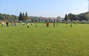 542fe06f1d6b7_IMG2897.JPG