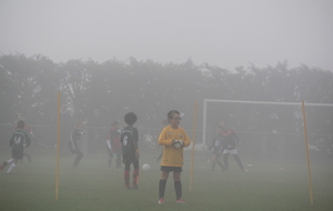 545f8c33131eb_IMG3854.JPG