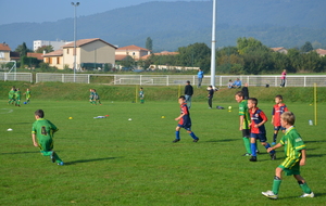 5470bcfd2575d_DSC0016.JPG