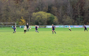 5470d98ad7348_IMG4181.JPG