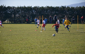 54f2df9862de3_DSC0633.JPG