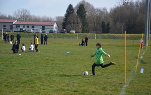 54feb2128b443_DSC0815.JPG