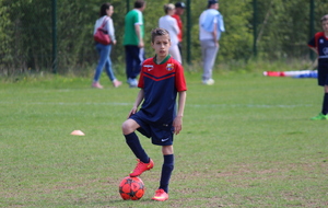 552cb8b549a08_IMG6092.JPG