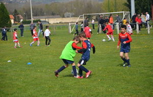 552d76e0cd51c_DSC1037.JPG