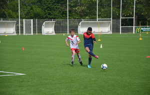 5550f751df7cd_DSC0037.JPG