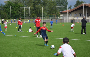 5550f7f13de40_DSC0045.JPG