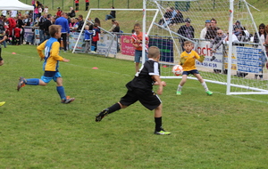 5562258780480_IMG6847.JPG
