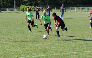 5562278defda5_IMG7073.JPG