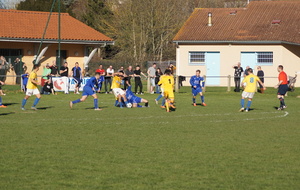 56ca2a302e187_DSC01179.JPG