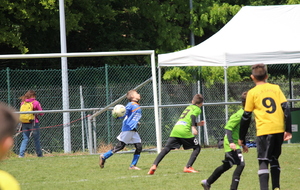 5738d5e73f94b_IMG9239.JPG