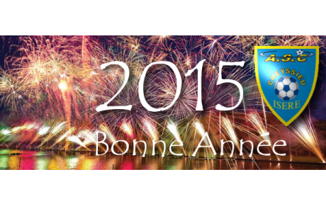 Meilleurs voeux pour l'année 2015 !